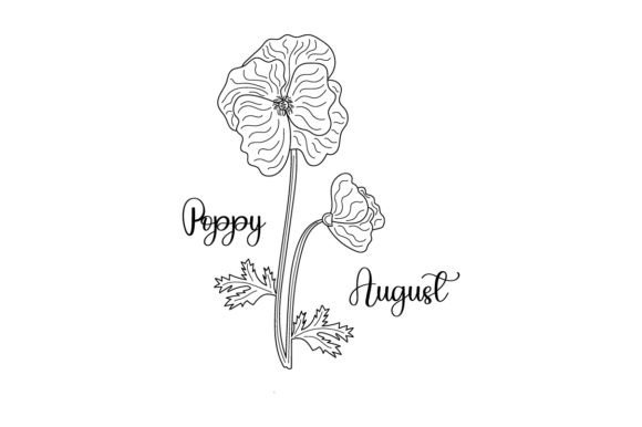 August Poppy Line Art: A Versatile Design for Crafts