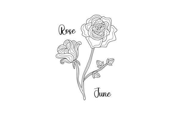 June Birth Flower: Rose Line Art Embroidery